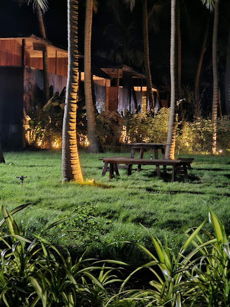 Garden at night