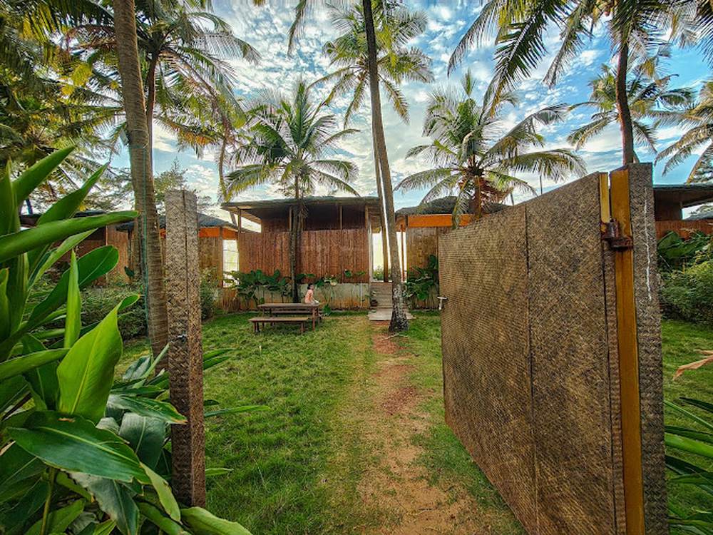 Bamboo compound palms