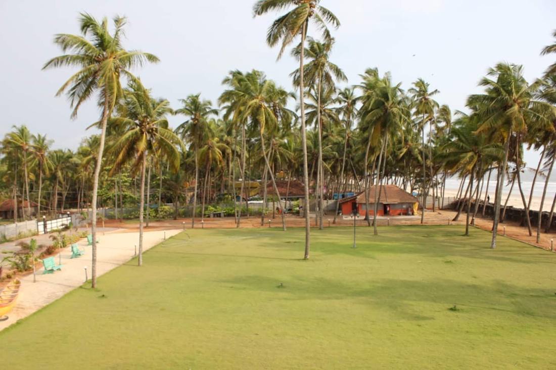 Lawn palms beach