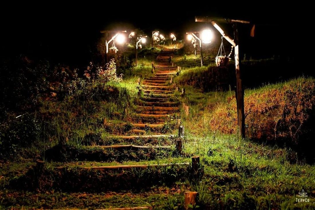Lit wooden staircase at night