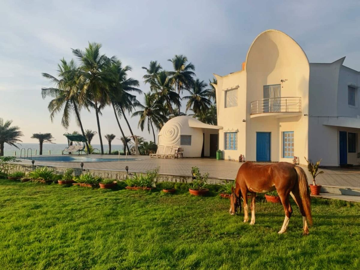 White Noise horse on lawn with shell dome