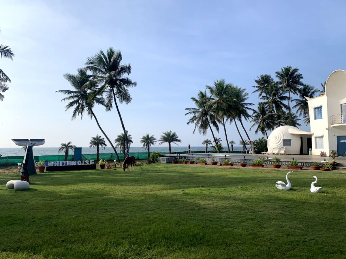 White Noise pool and dome at dusk panorama
