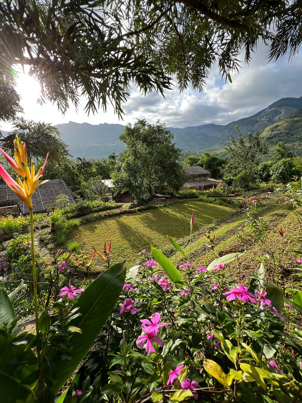 Garden with flowers and mountain panorama